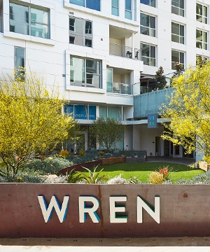 Wren outside patio